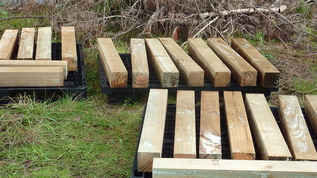 The wood, drying.